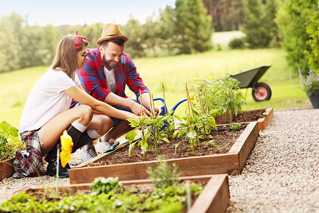 Biologisch tuinieren
